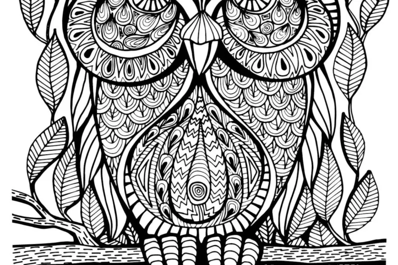Coloring Book For Adults Printable