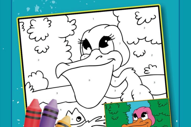 Coloring Books For 8 Year Olds