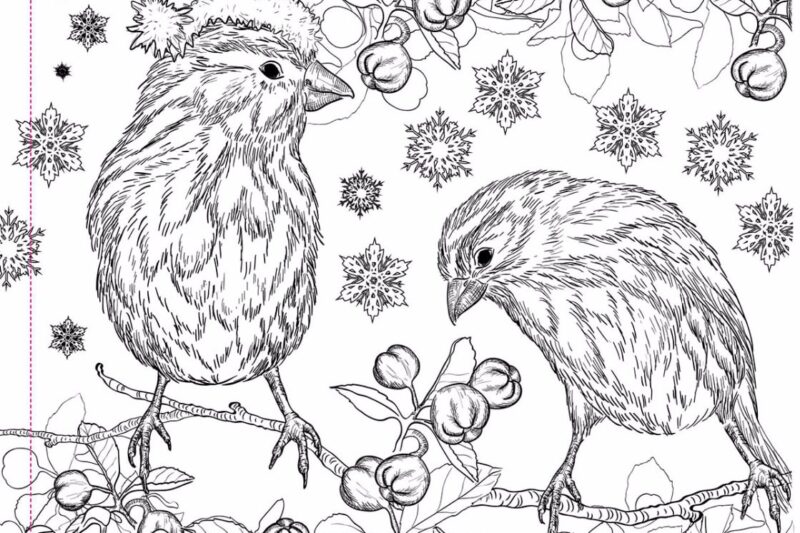 Coloring Pages For 12 Year Olds