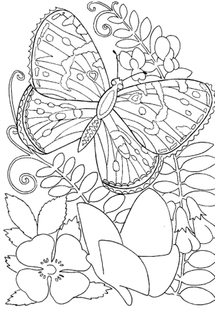 Coloring Pages For Free Printable Coloring Pages For Free Printable