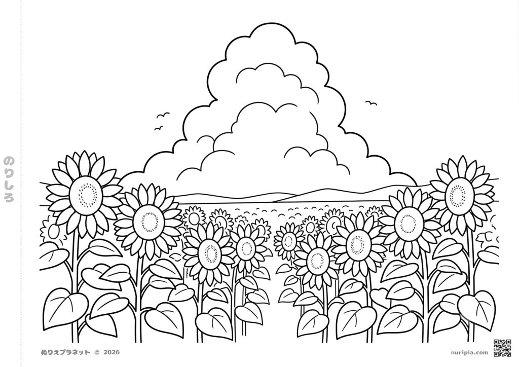 Coloring Pages For Old People – Sunflower Scene Beautiful sunflower field with clouds, perfect for Coloring Pages For Old People