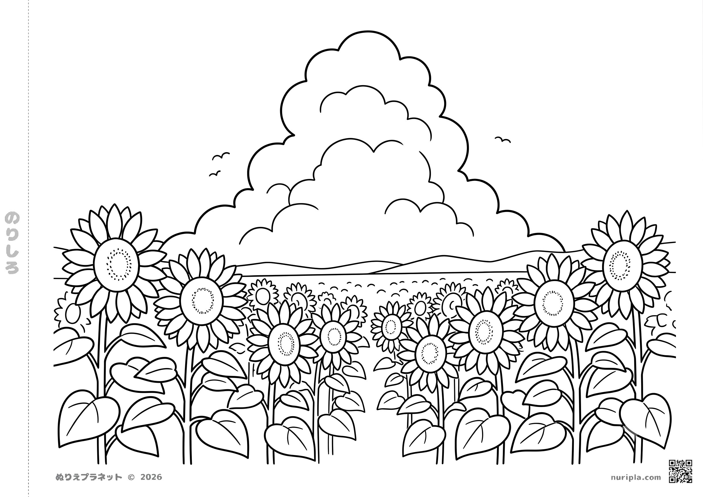 Beautiful sunflower field with clouds, perfect for Coloring Pages For Old People