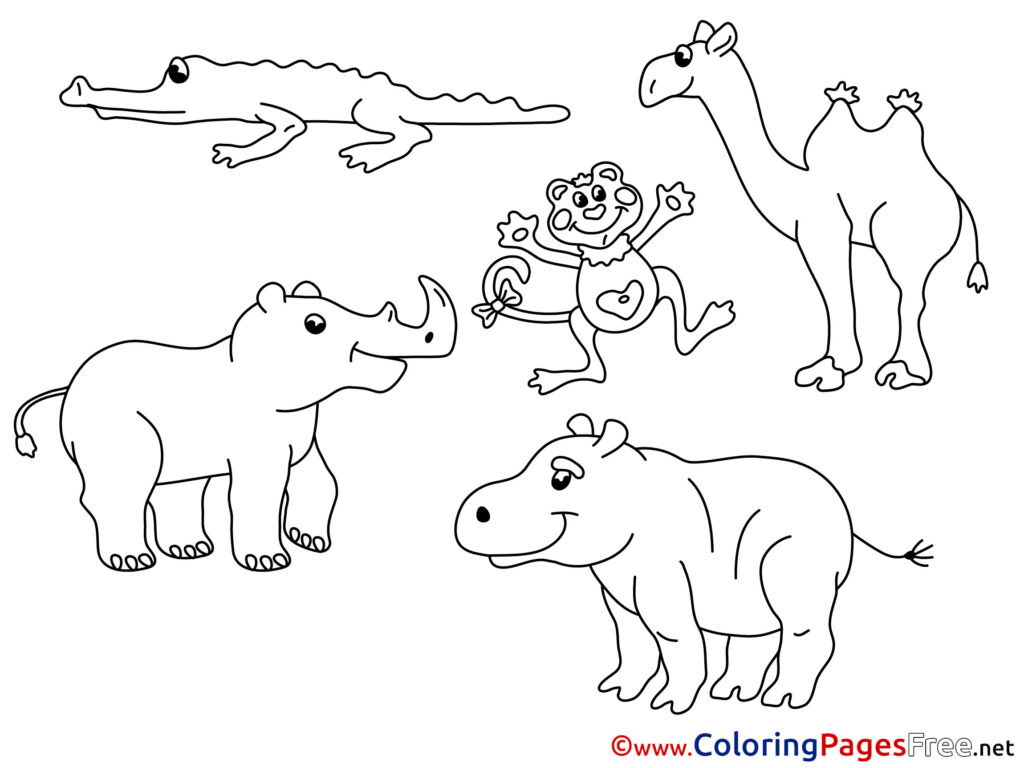 Coloring Pages Of Zoo Animals For Preschool featuring a crocodile, lion, camel, rhino, and hippo