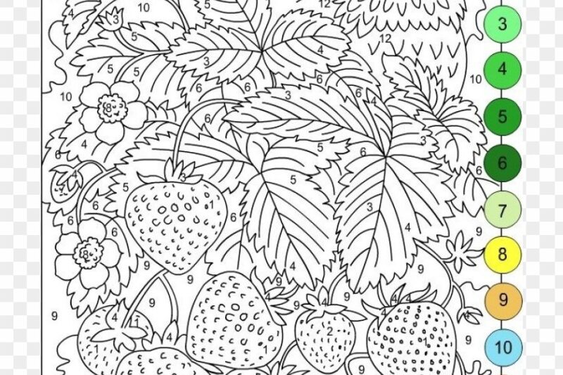 Coloring Pages With Numbers For Adults