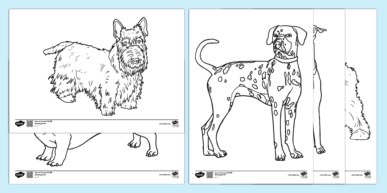 Free printable coloring picture of a dog featuring various dog breeds for kids to color