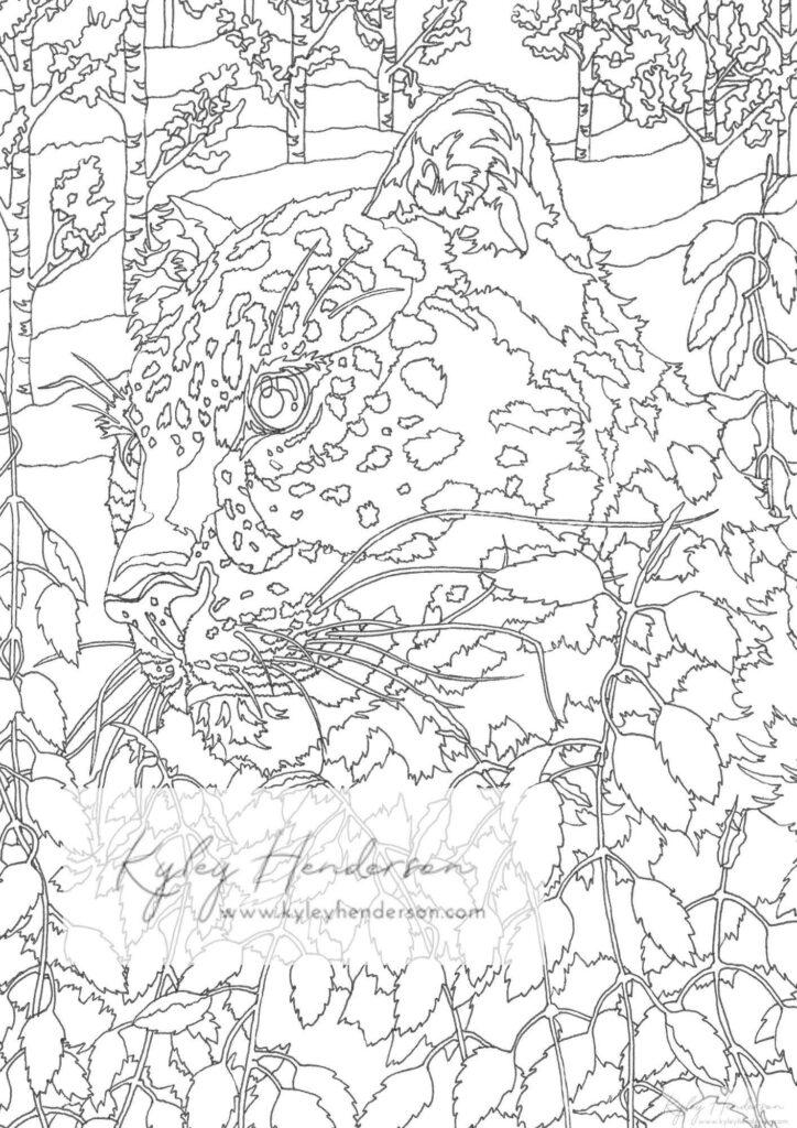 Leopard illustration surrounded by foliage for adult coloring fun