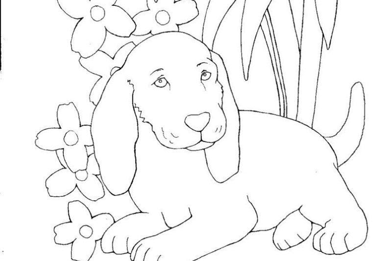 Colouring For 11 Year Olds