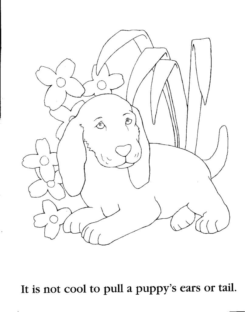 Colouring For 11 Year Olds – Coloring Pages For 11 Year Olds at GetDrawings | Free download Colouring For 11 Year Olds - Coloring Pages For 11 Year Olds at GetDrawings | Free download