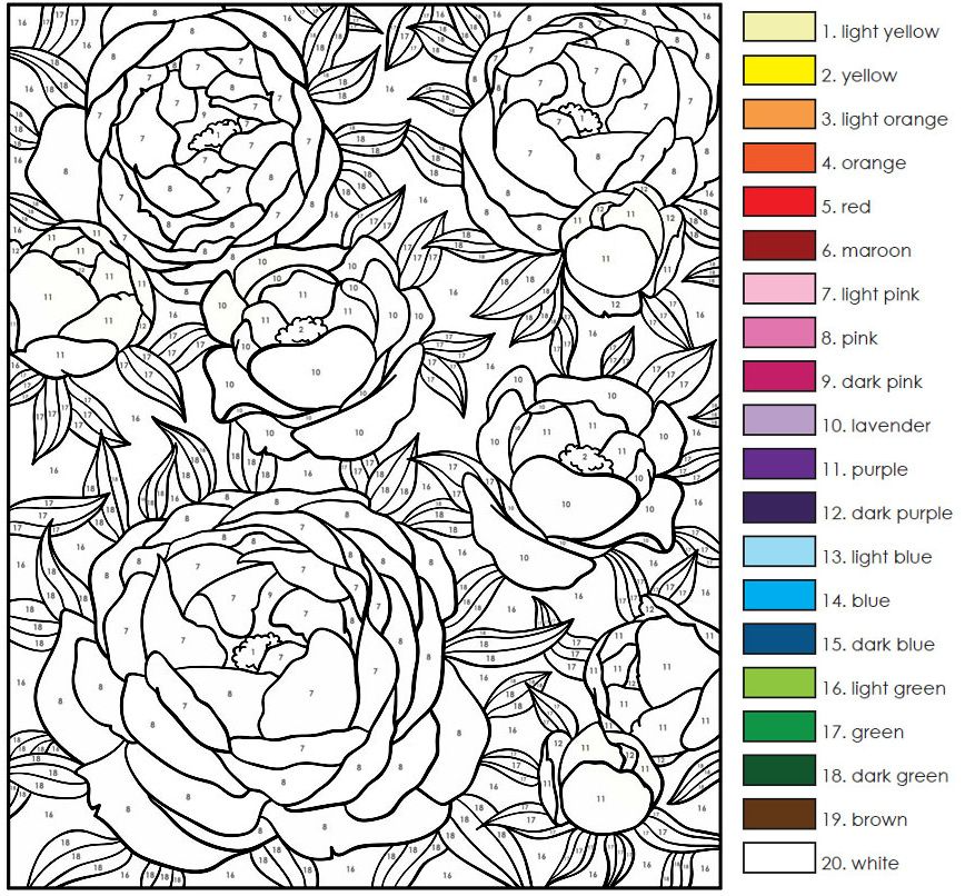Complex Color By Number Printables Complex Color By Number Printables