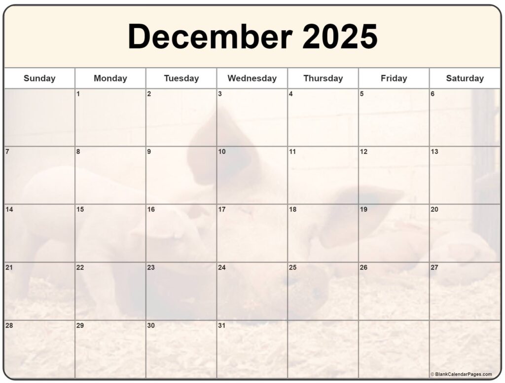 Cute December 2025 Calendar Printable with Blank Spaces Cute December 2025 Calendar Printable featuring a simple layout with blank spaces for notes