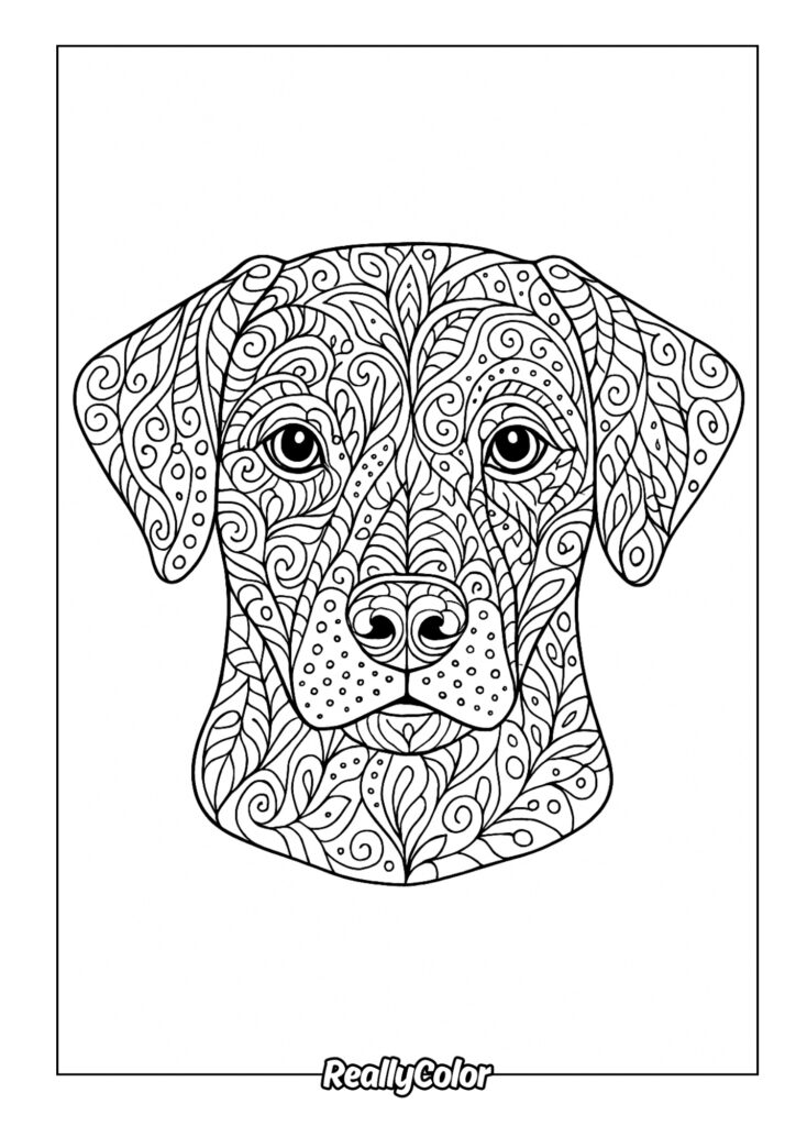 Detailed coloring page of a dog's face with intricate patterns