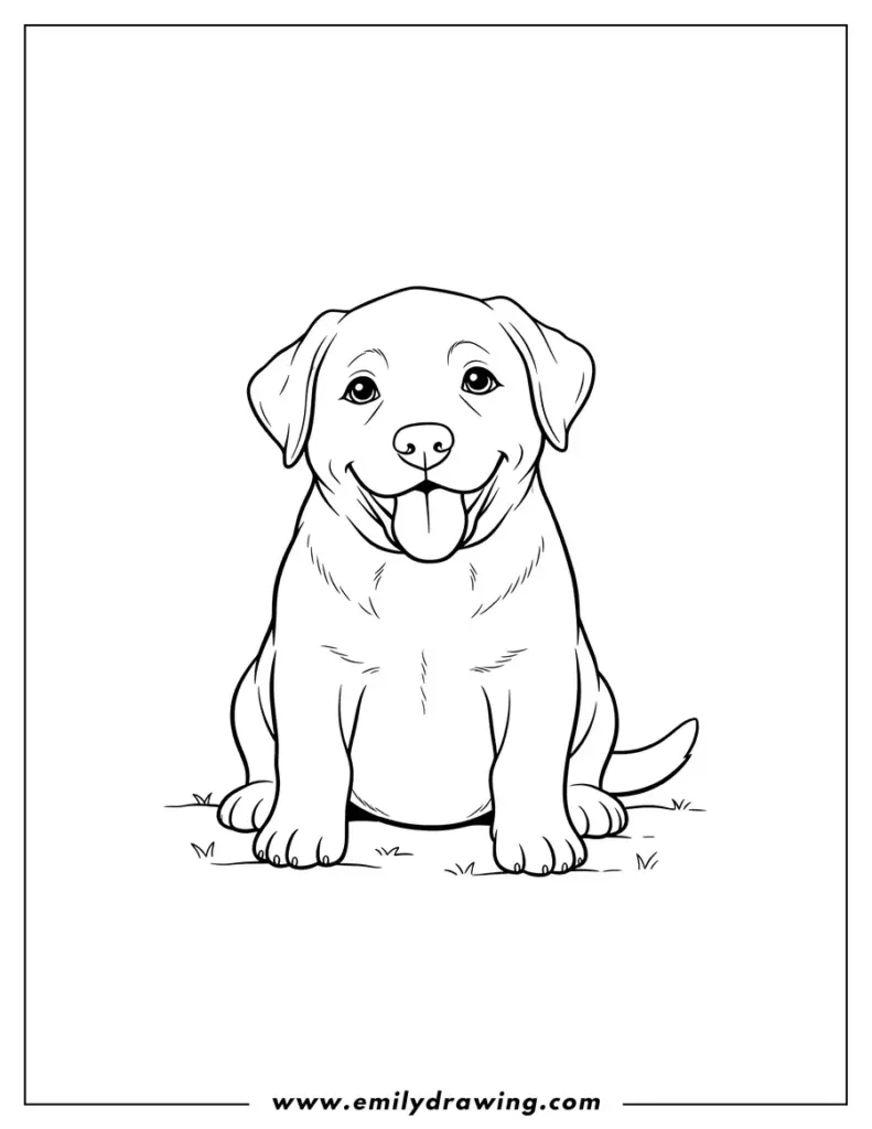 Labrador Dog Coloring Page A friendly Labrador dog sitting on grass, designed for coloring