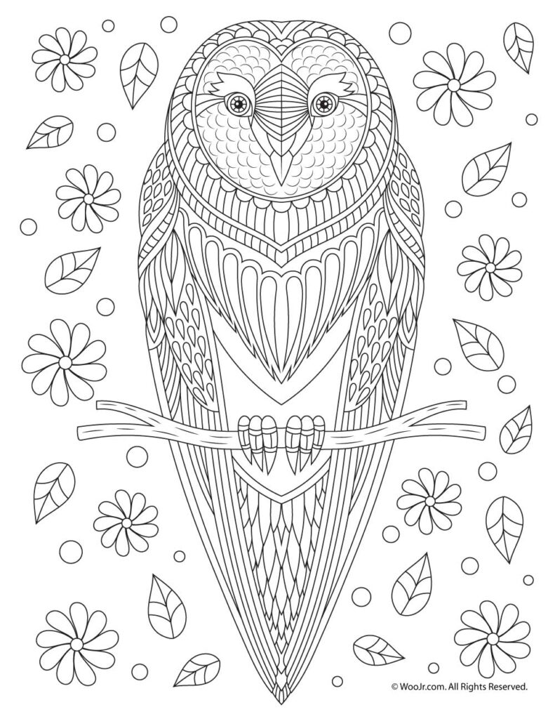 Owl coloring page for adults surrounded by flowers and leaves