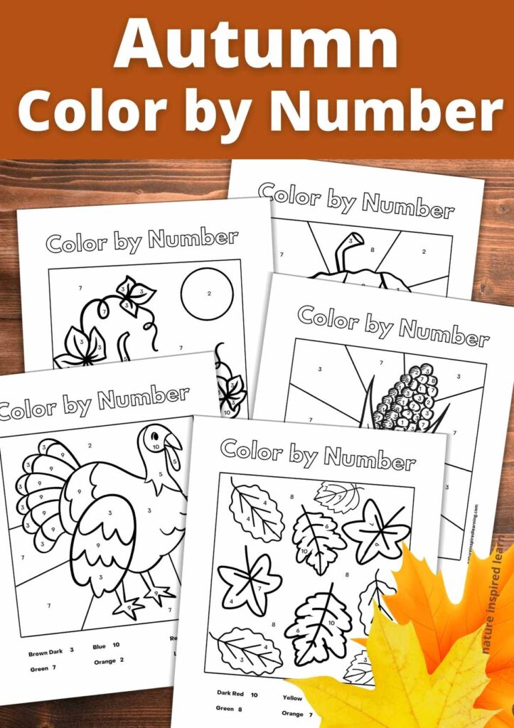 Autumn-themed color by number printables featuring leaves and a turkey