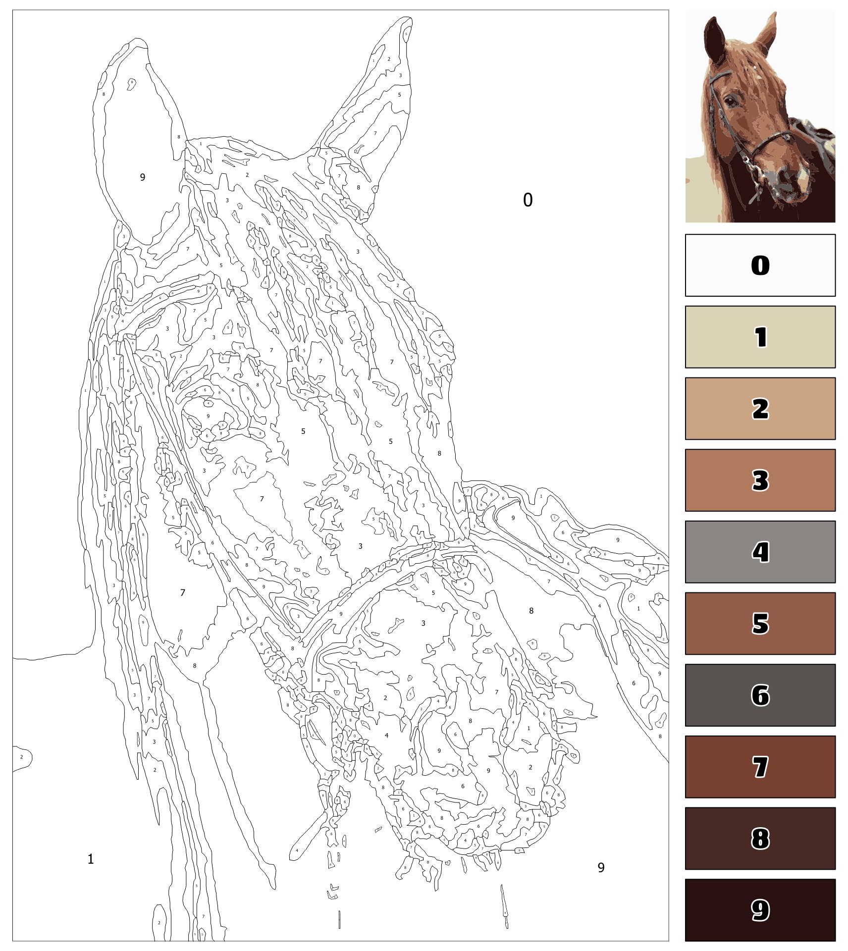 Free Adult Color By Number printable featuring a detailed horse outline for coloring