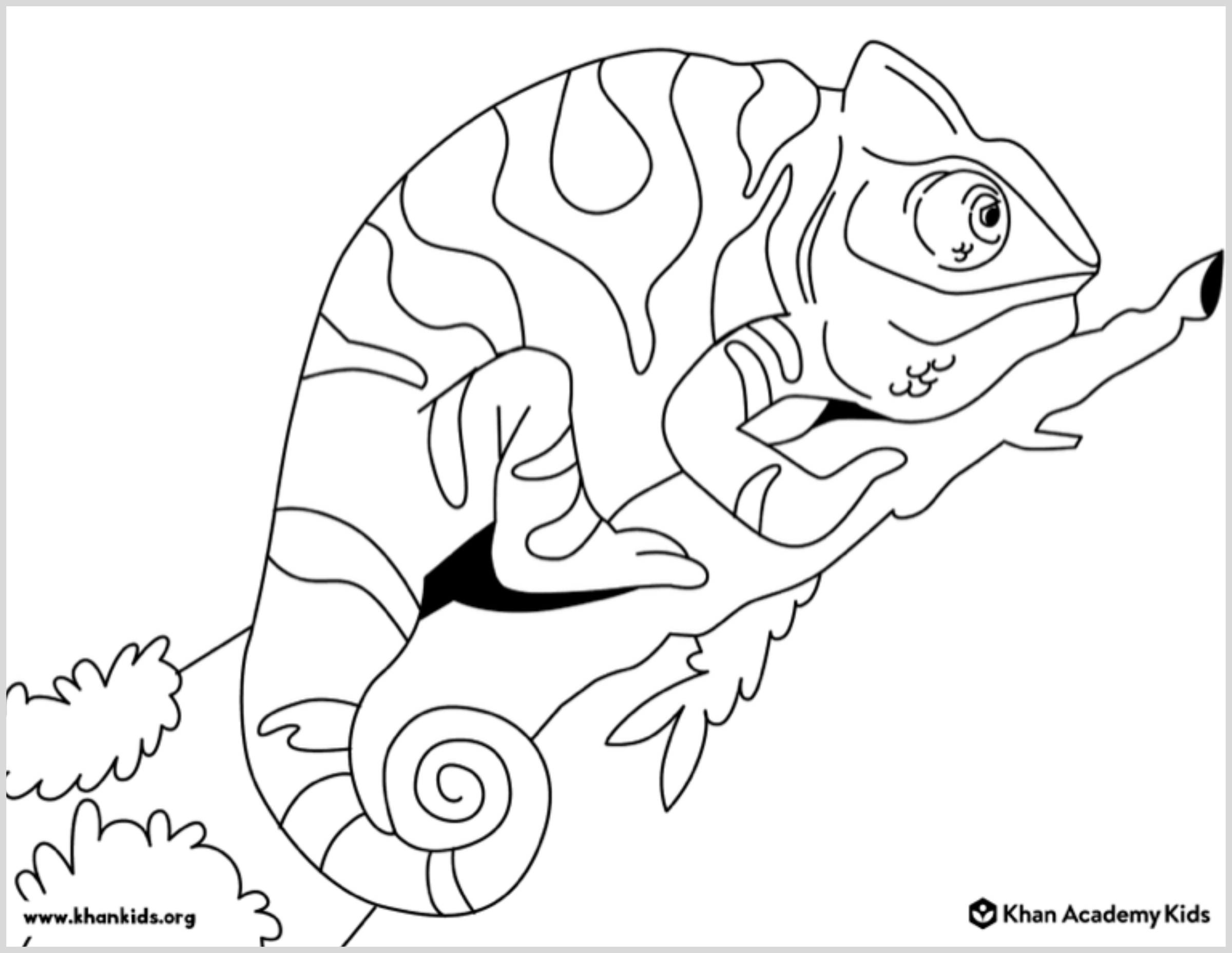 Free Coloring Pages For Adults Animals featuring a detailed chameleon on a branch