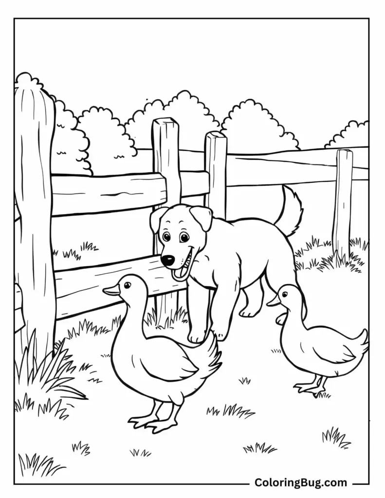 Free Printable Colouring Pages Of Farm Animals Free Printable Colouring Pages Of Farm Animals featuring a playful dog and ducks in a farm setting