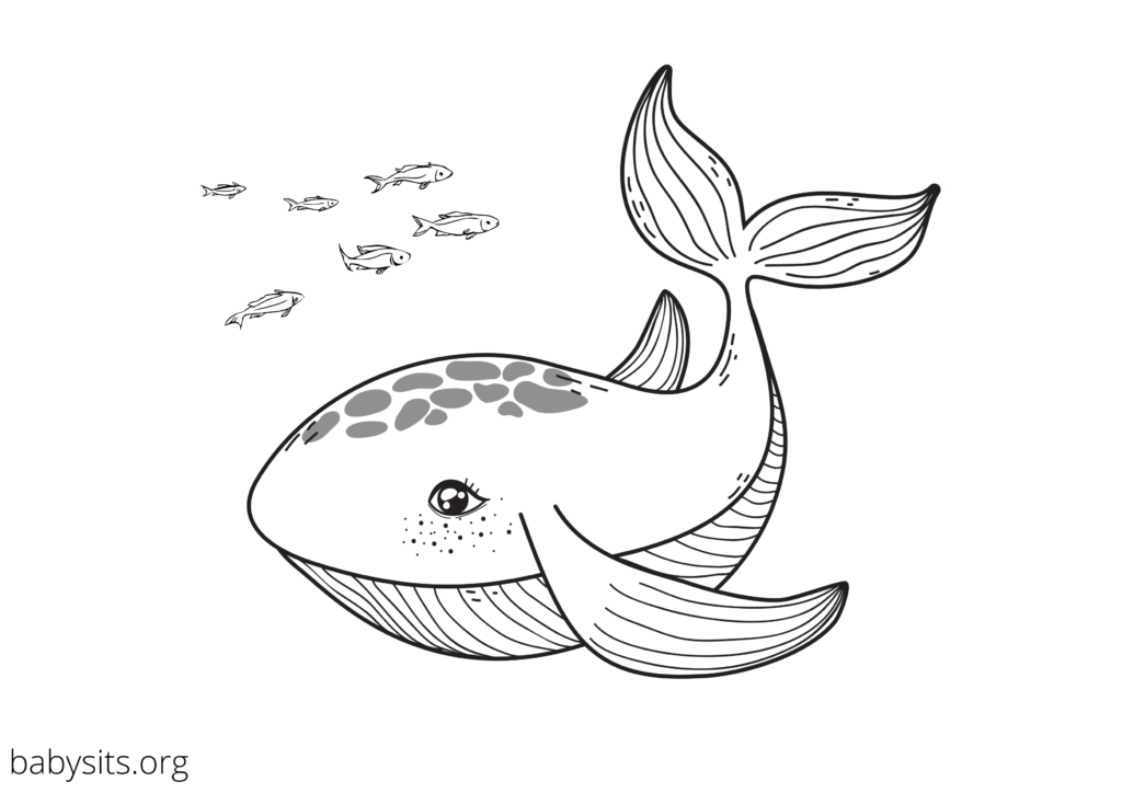Colouring page showcasing a whale and fish for kids to color