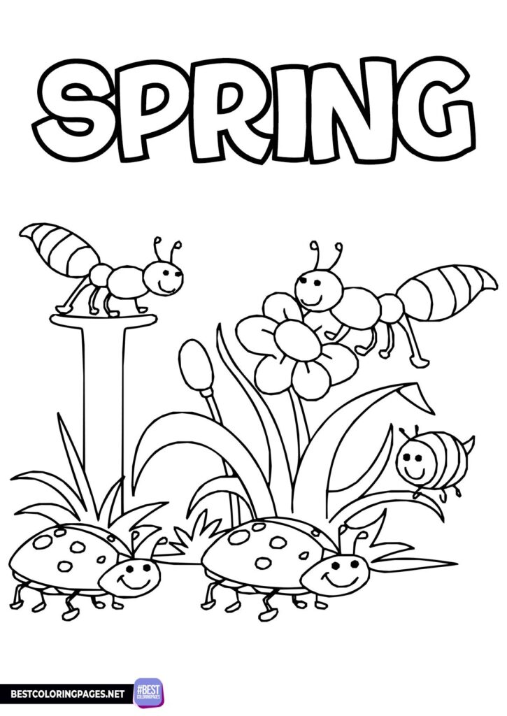 Free Printable Printable Spring Coloring Pages – Free Printable Coloring Sheets for Spring Free Printable Printable Spring Coloring Pages - Free Printable Coloring Sheets for Spring