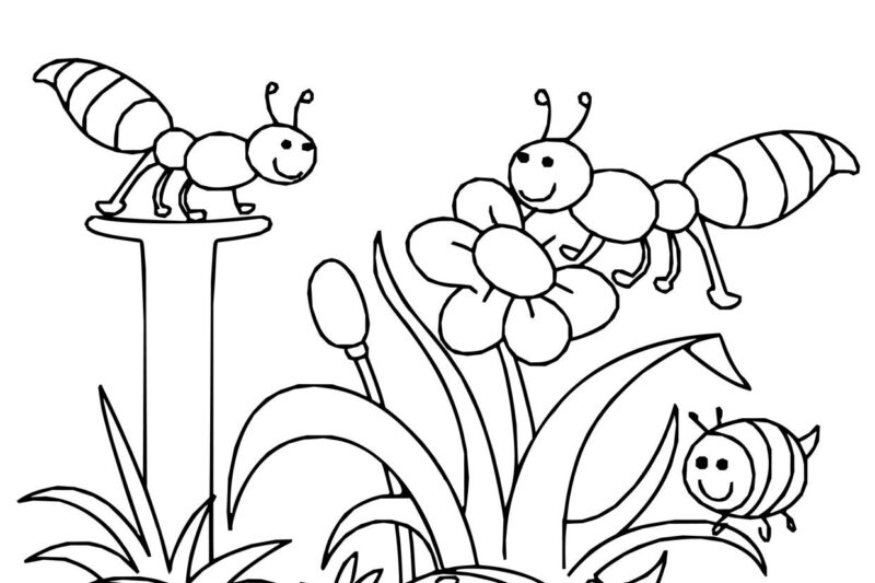 Free Printable Printable Spring Coloring Pages