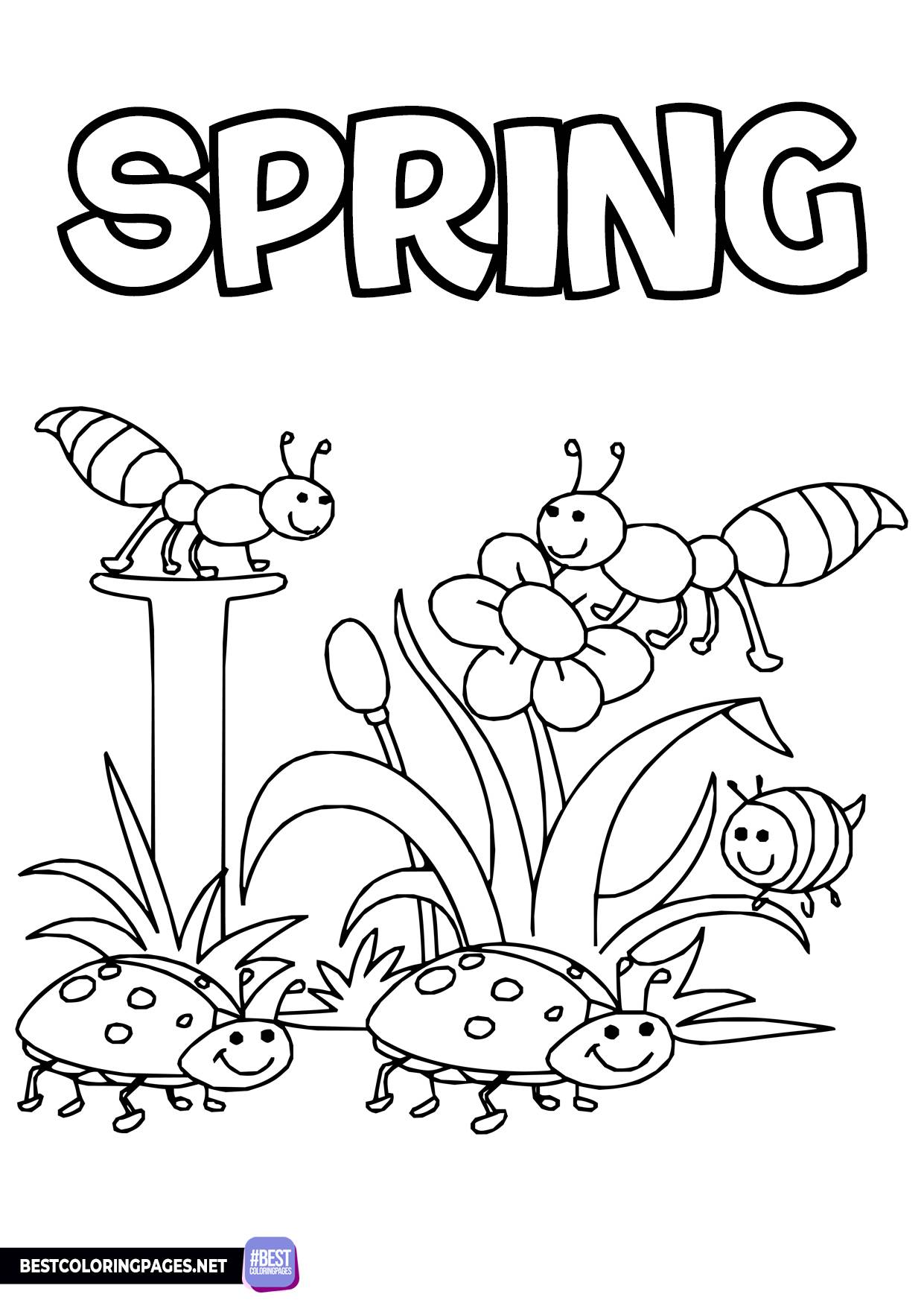 Free Printable Printable Spring Coloring Pages - Free Printable Coloring Sheets for Spring