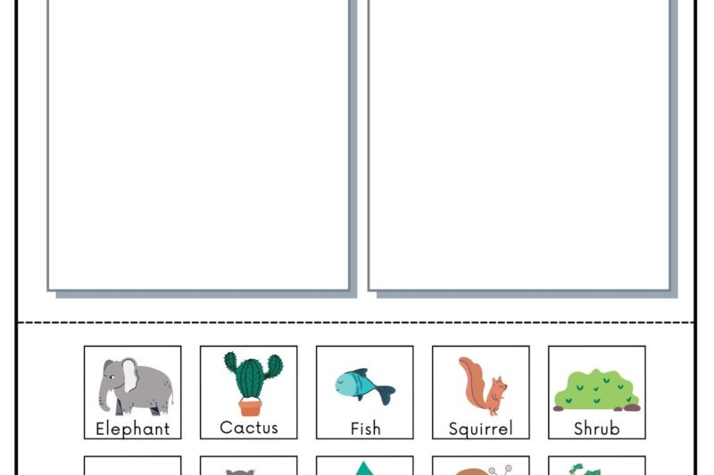 Free Printable Worksheets For Science