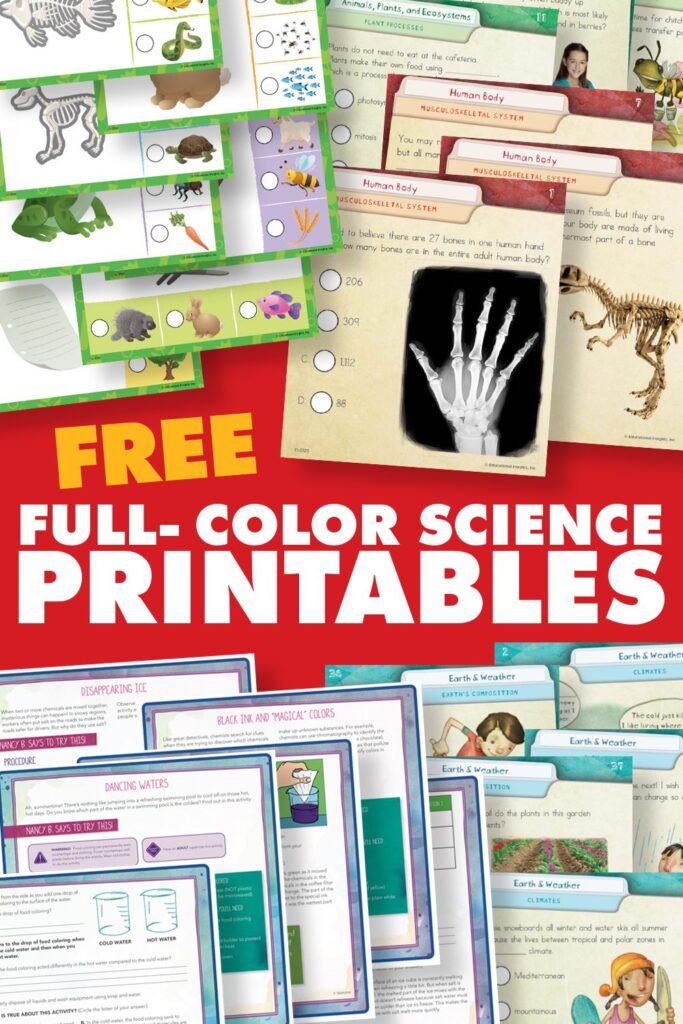 Free science activity printables for kids – Artofit Free science activity printables for kids – Artofit