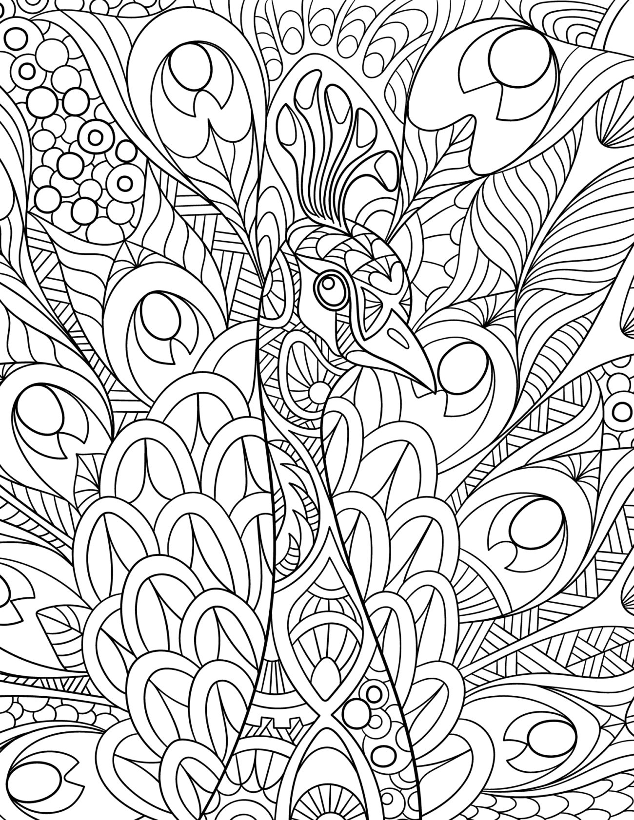 Fun Coloring Sheets For Adults - Free Printable Peacock Coloring Pages Adult