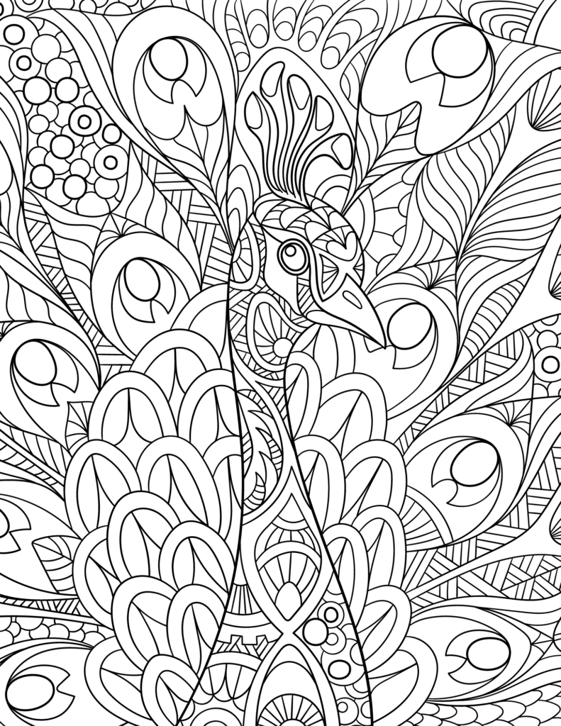 Fun Coloring Sheets For Adults – Free Printable Peacock Coloring Pages Adult Fun Coloring Sheets For Adults - Free Printable Peacock Coloring Pages Adult