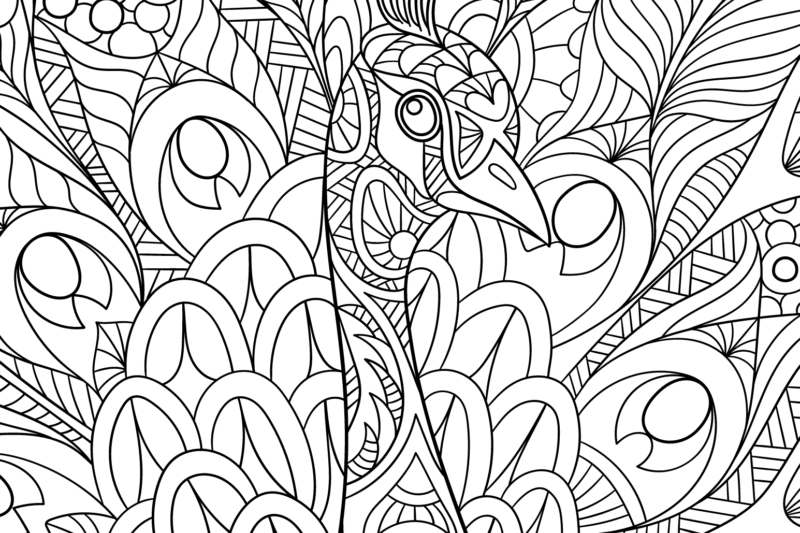 Fun Coloring Sheets For Adults