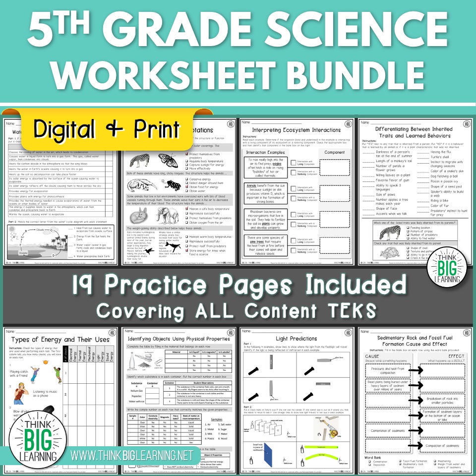Grade 5: Natural Sciences Term 4 Test • Teacha! – Worksheets Library Grade 5: Natural Sciences Term 4 Test • Teacha! - Worksheets Library