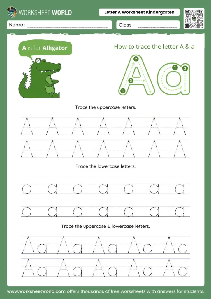 Letter A Worksheet for Kindergarten with Alligator Theme Letter A worksheet for kindergarten featuring an alligator and tracing exercises