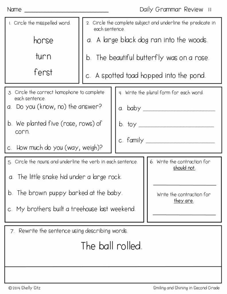 Printable grammar review worksheet for 2nd graders with various exercises