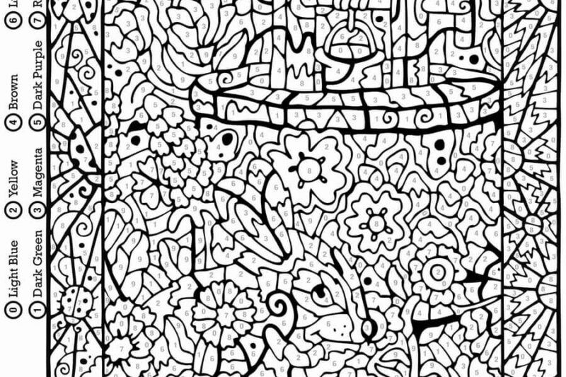 Mystery Color By Number For Adults Printable