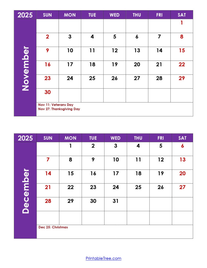 November December 2025 Printable Calendar – Calendars That Work November December 2025 Printable Calendar - Calendars That Work