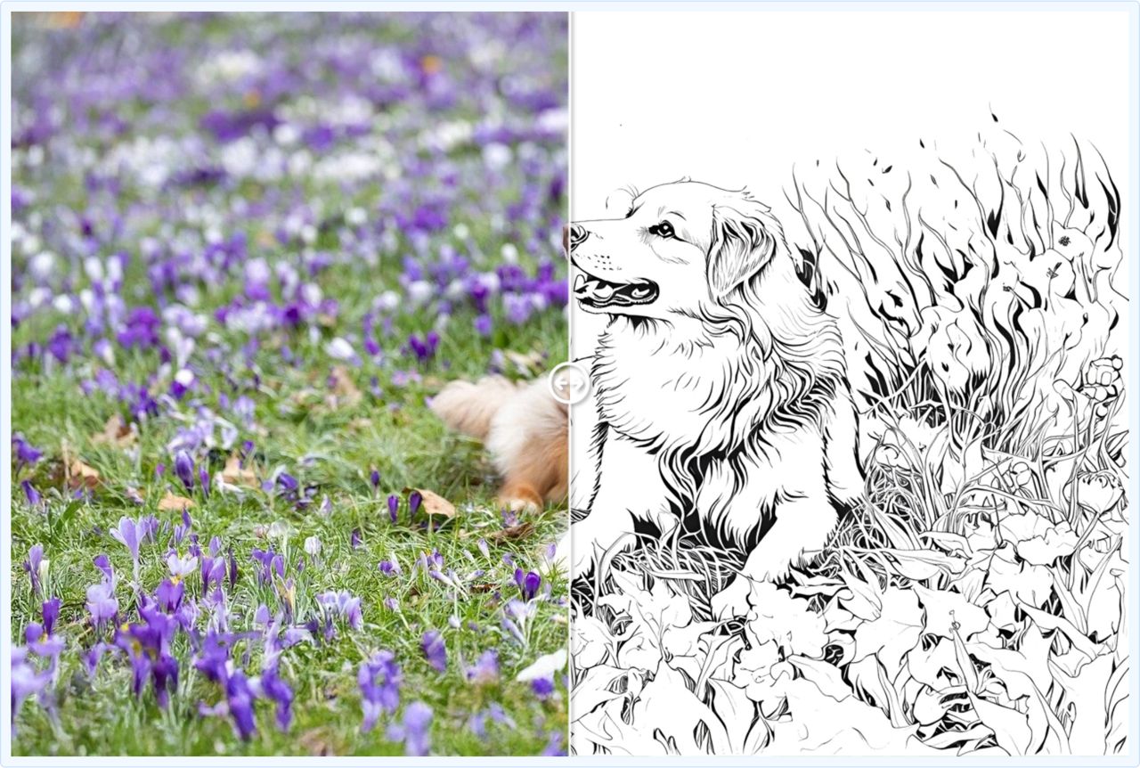 Photo Into Coloring Page Free - Convert Photo to Coloring Page Online | Mimi Panda