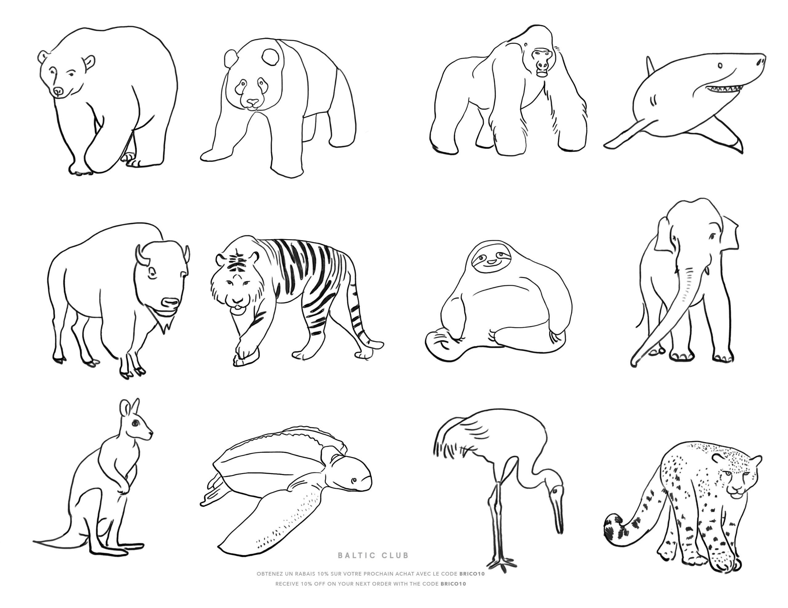 Pictures Of Animals For Colouring - Free printable colouring sheet featuring endangered animals for kids to color