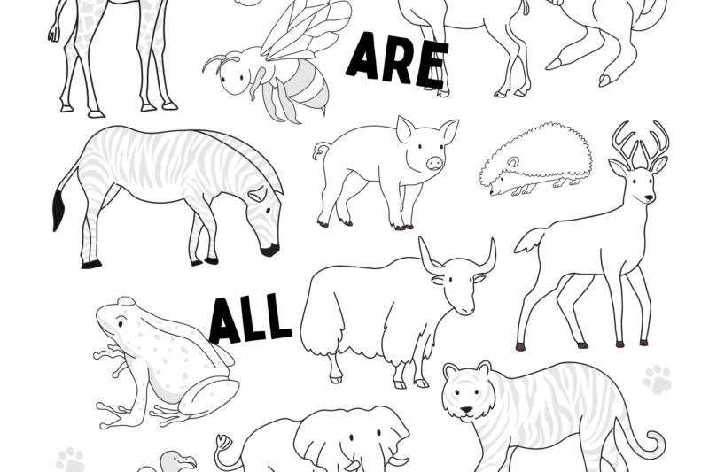 Pictures To Print Of Animals