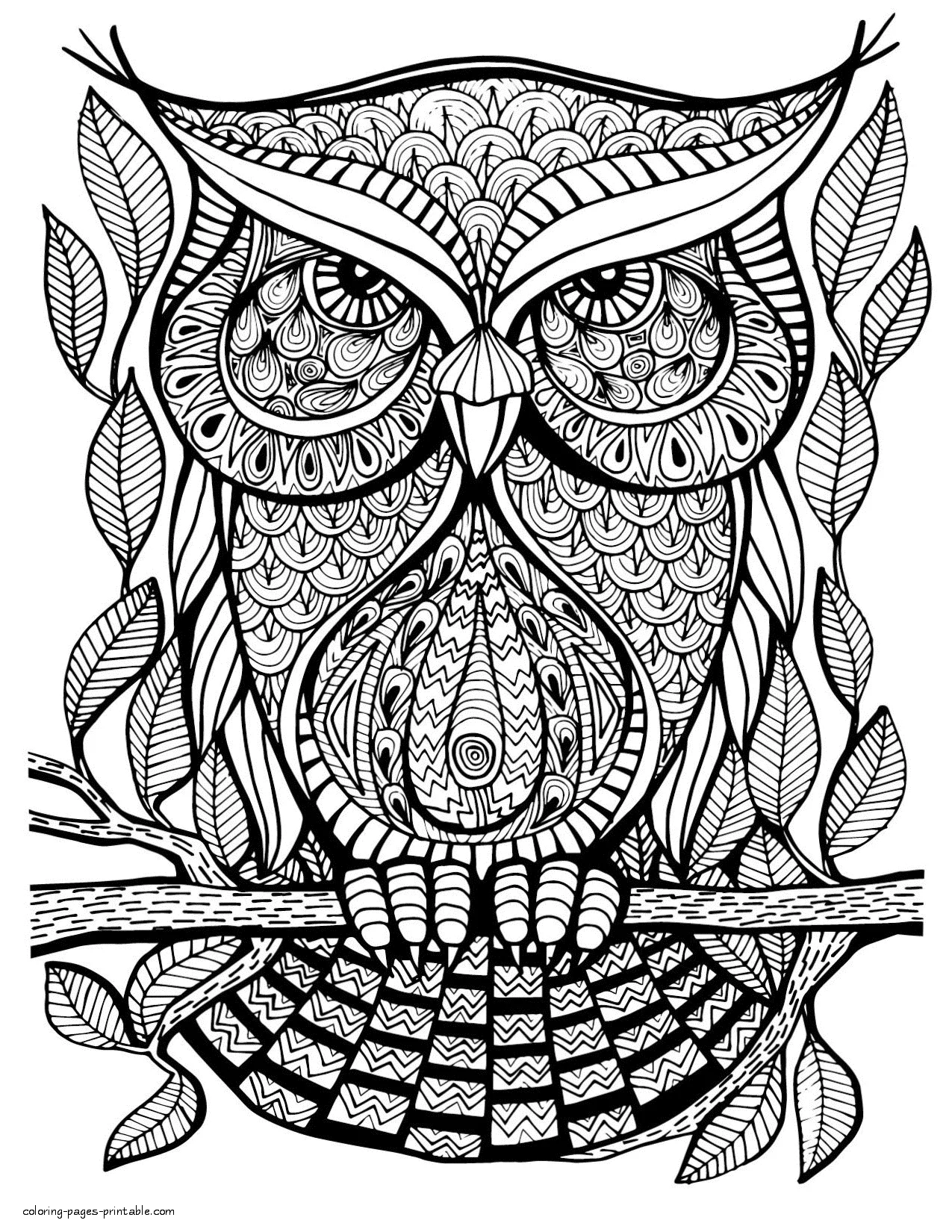 Printable Coloring Books For Adults - Download and print Coloring Pages For Adults Template Printable (Free PDF)