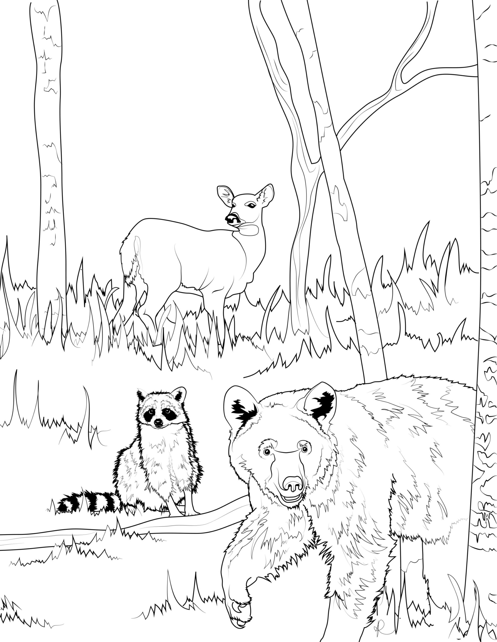 Printable Coloring Pages For Adults Animals showcasing a deer, raccoon, and bear in a forest setting