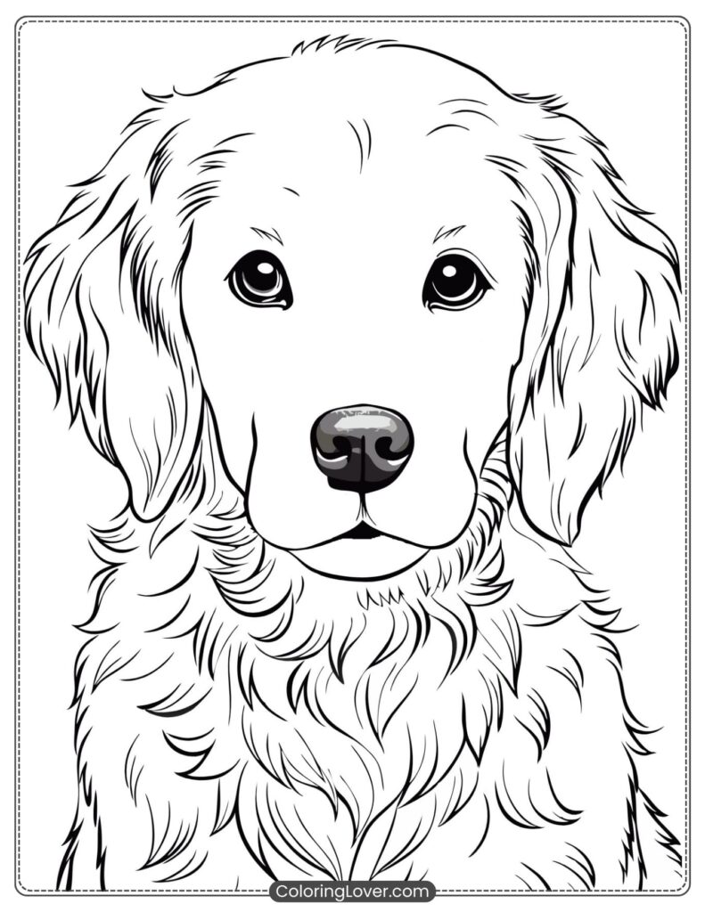 A detailed puppy coloring page featuring a fluffy golden retriever