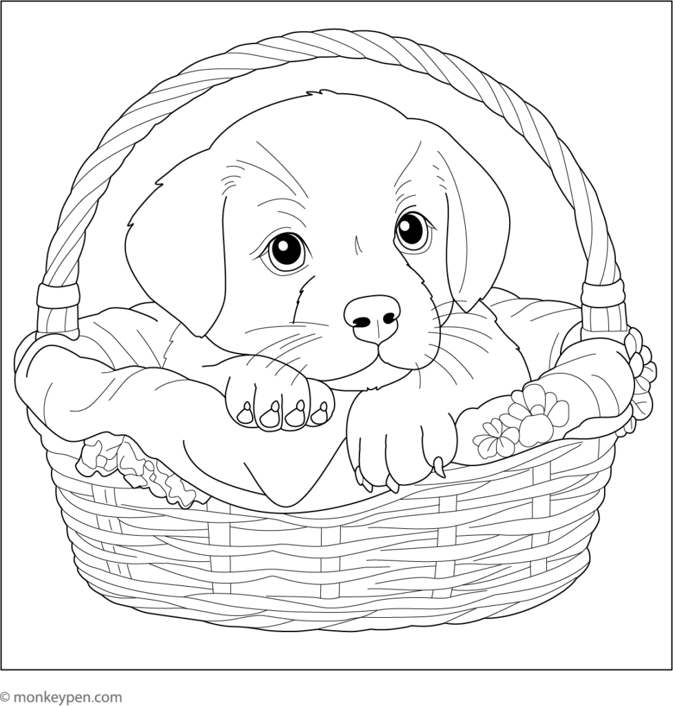 Adorable puppy resting in a basket, ready for coloring