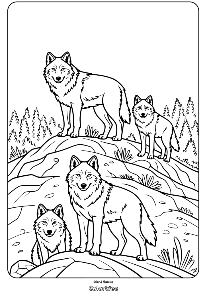 Coloring page of four wolves standing on a rocky terrain surrounded by trees
