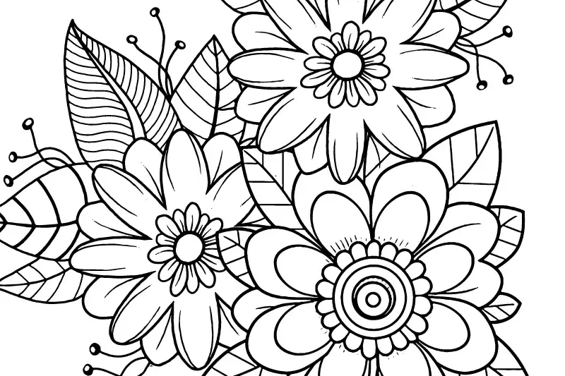 Simple Adult Coloring Pages Free