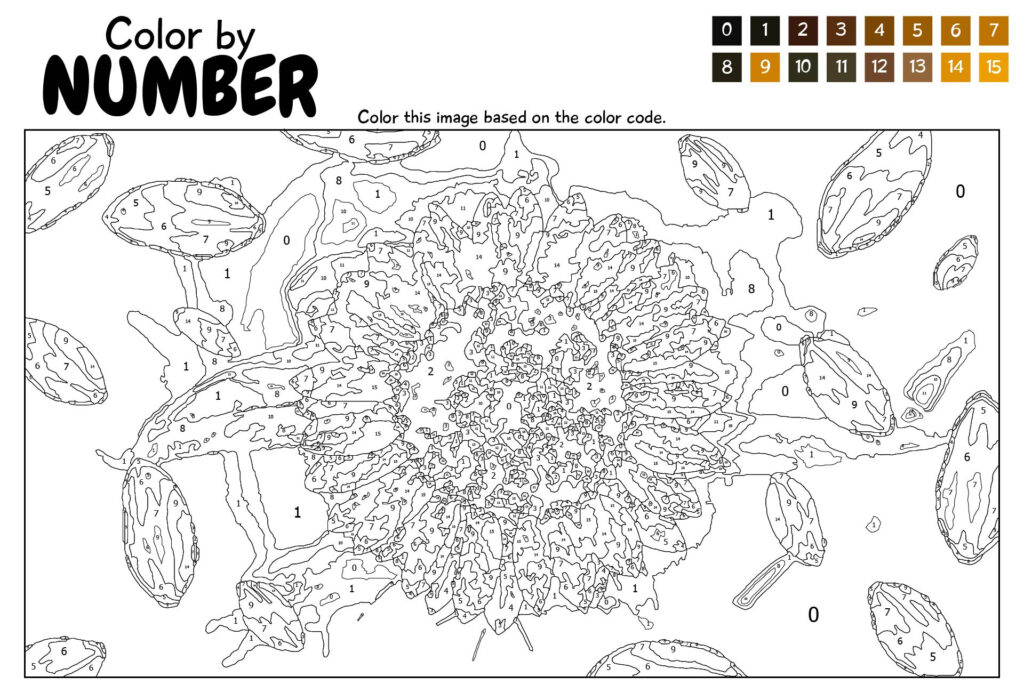 Teachers recommend these engaging color by number math pages for educational fun
