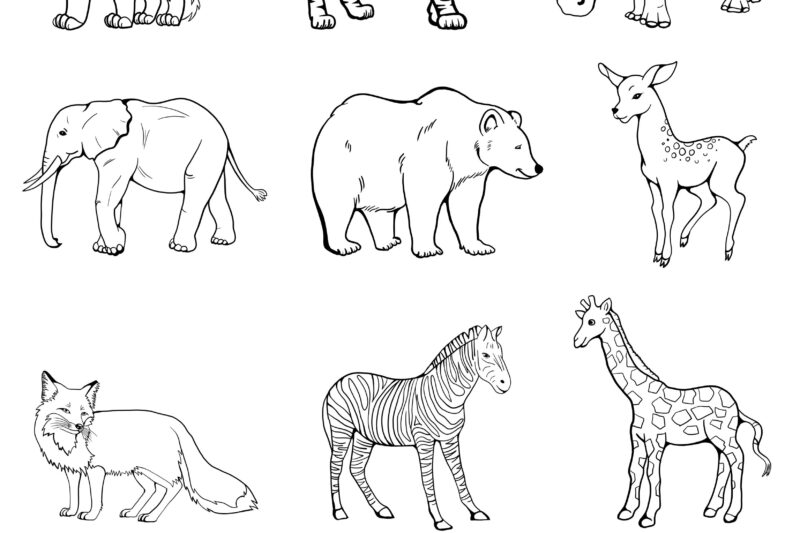 Wild Animals Coloring Pages Printable