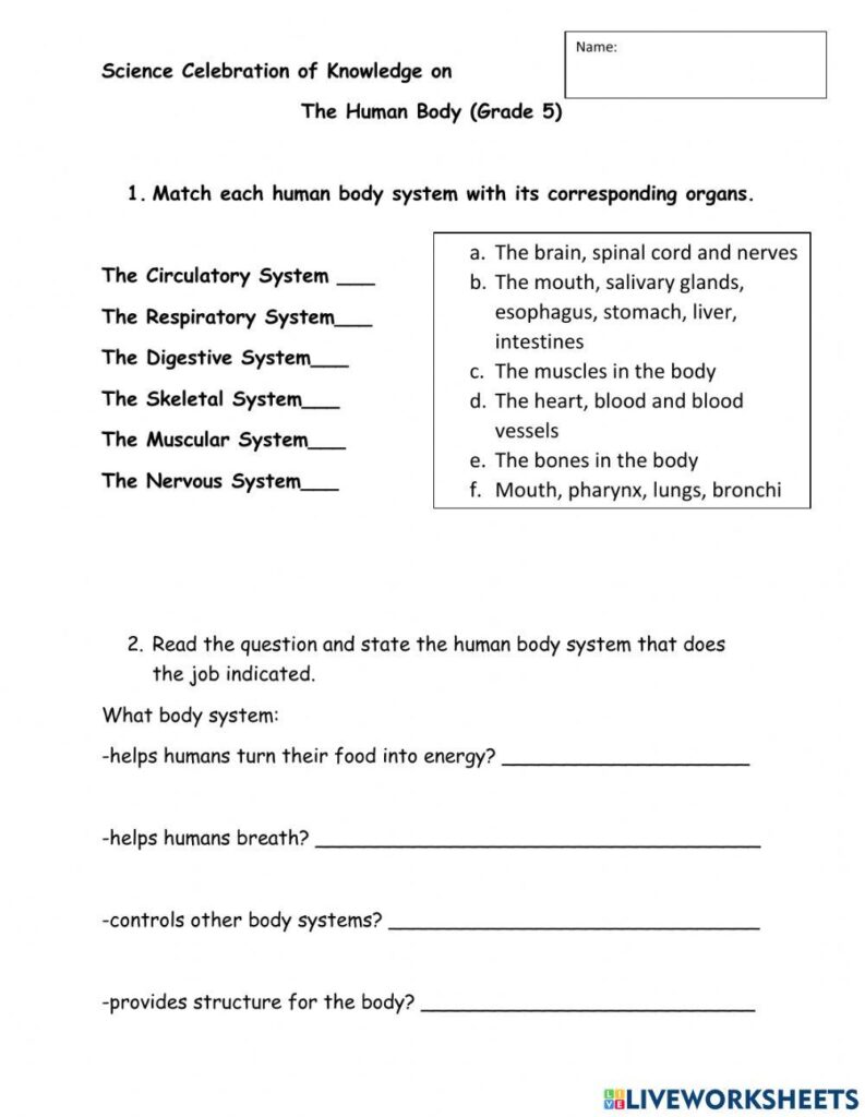 Worksheets For 5th Grade Science Worksheets For 5th Grade Science