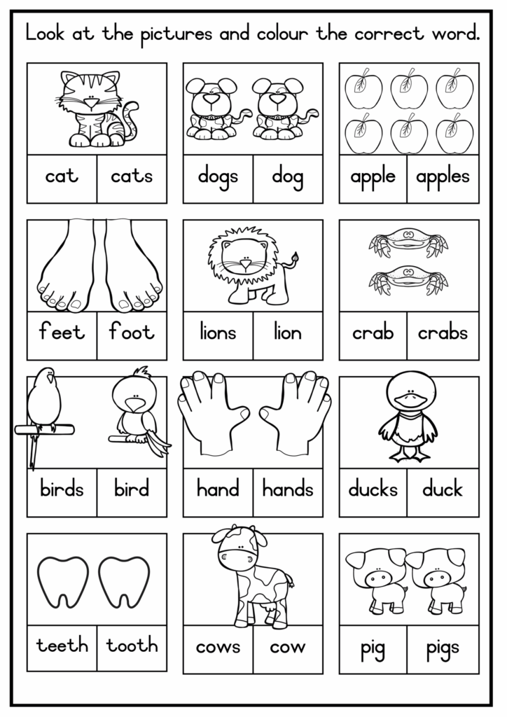 Worksheets For Grade 1 English Language Grade 1: Interactive Worksheets For Grade 1 English Language Grade 1: Interactive