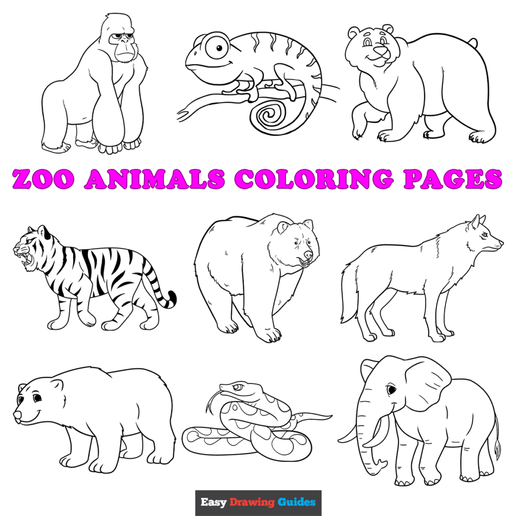 Zoo Animals Color Sheet Zoo Animals Color Sheet