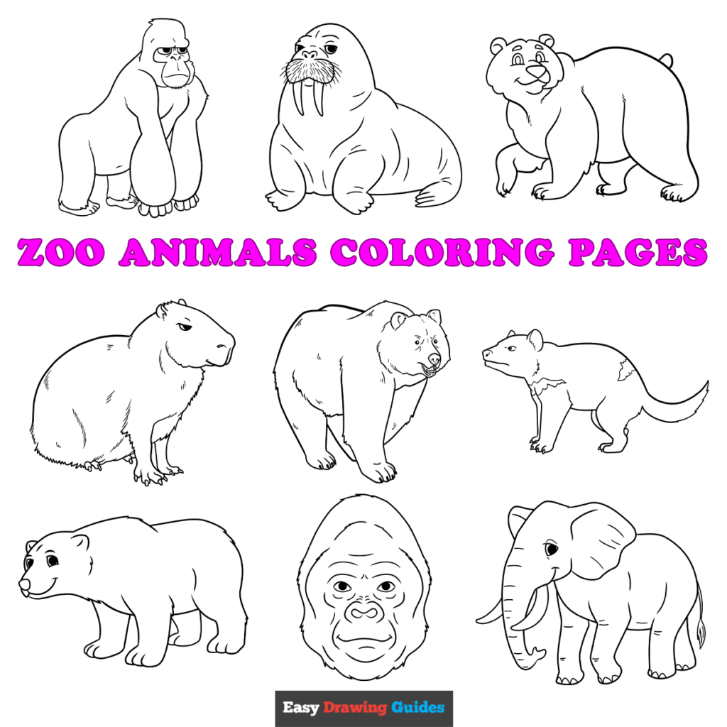 Zoo Animals Coloring Pages for Creative Kids Various zoo animals coloring pages including a walrus, bear, and elephant